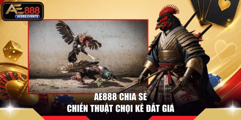 AE888 chia sẻ chiến thuật chọi kê đắt giá