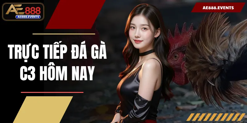 Trực Tiếp Đá Gà C3 Hôm Nay AE888 - Trực Tiếp Thomo Đỉnh Cao